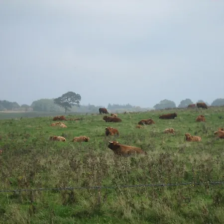 Kretschmann * Gelting